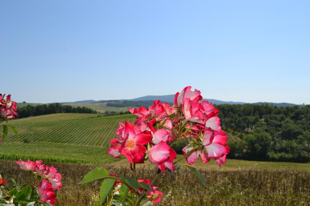 Agriturismo Cignanbianco Кастелина ин Кианти Екстериор снимка